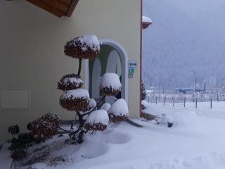 Agritur Melissa - Croviana - 4