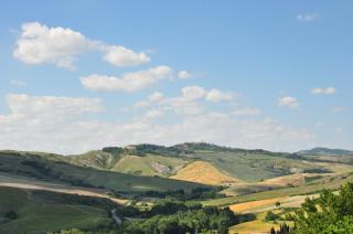Campocane Oaks - Trevinano - 1