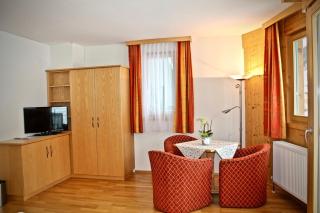 Hotel Druschhof - Schladming - 1
