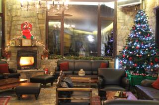 Alkistis Hotel - Portaria - 5
