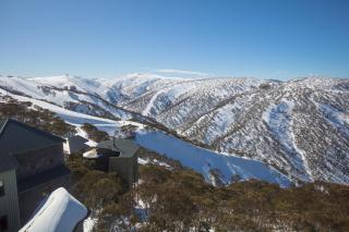 Schnapps - Mount Hotham - 1