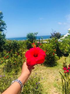 Hebergement Vue Sur Mer - 8