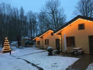 Hollands Oostenrijks huisje - Wieringerwerf - 9