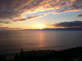 Shearwaters - Sounds of the sea - Funchal - 0