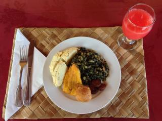 Pimento Lodge Resort - Port Antonio - 5