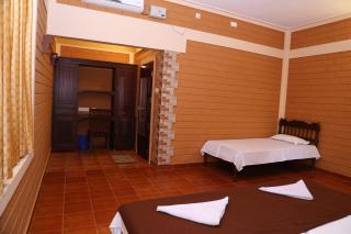 Dazzle Dew - Alleppey - 9