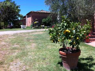 Agriturismo La Collina - 2