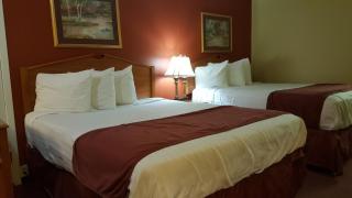 Plaza Inn Springfield - Springfield - 6