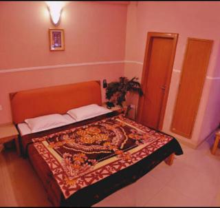 Hotel Queen - Haridwar - 4