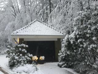 Bos Huisje - Putten - 2