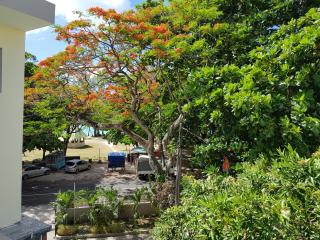 Pereybere Beach Apartments - Pereybere - 5