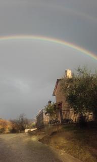 B&B Colle San Francesco - 7