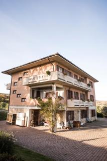 Amor di Lavanda - Cingoli - 9