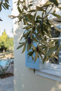 Sea View Pool Villa with Independent Guest house - Egina - 5