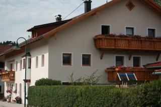 Haflingerhof Appenstein - Pinswang - 0