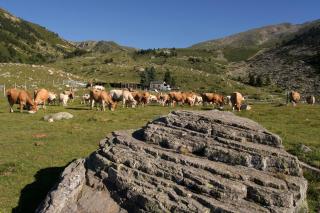 El Casal - Prats-de-Mollo-la-Preste - 5