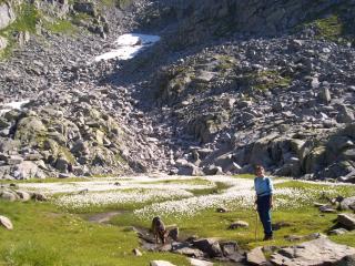 agriturismo la Meta - 4