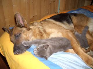 agriturismo la Meta - 5