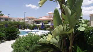 Pyla Gardens A101 - Pyla - 5