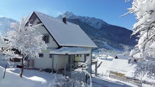 Apartment Leposa - Kranjska Gora - 0