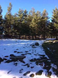 Le Jardin de Font Romeu - 8