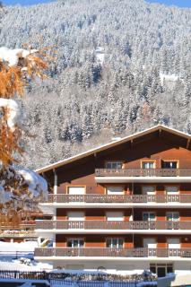 Apartment Champéry Grand Pré A - Champéry - 4