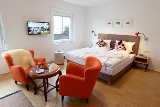 Schwarzwaldhotel Oberwiesenhof - 4