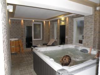 Hotel Al Pelmo Wellness - Pieve di Cadore - 8