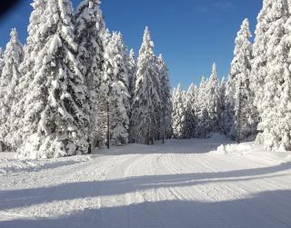 Rogla app Jerebika 11 - Zreče - 3