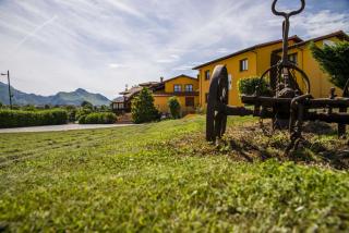 El Canton - Pancar - 5