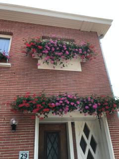 B2B-flats AALST - Aalst - 3