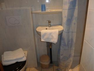 Hôtel l'Edelweiss - Châtel - 3