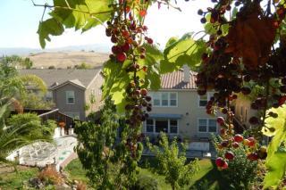 Beautiful Home in Quiet Area - San Jose - 0