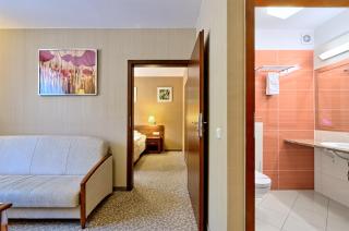Centuria Hotel & Natural Spa - Ogrodzieniec - 1