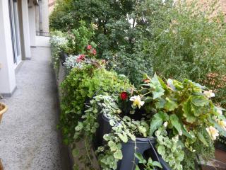 Apartment Deligradska - Belgrado - 0