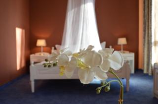 Hotel Shterev Sopot - Sopot - 0