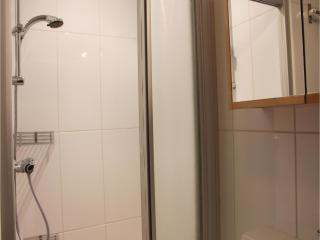 Bergeend - Oudemirdum - 1