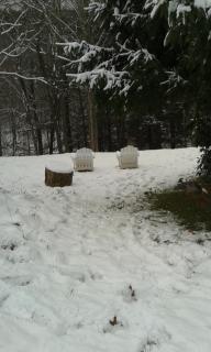 Black Bear Lodge - Prattsville - 2