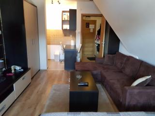 Ski & Relax Apartment - Kopaonik - 4