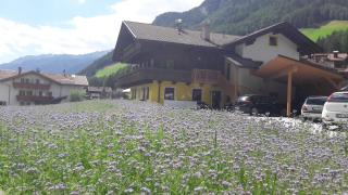 Appartments Kreuzwirt - San Giacomo - 6