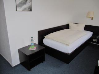 Hotel Wettin - Treuen - 2