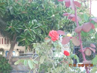 Plaza Studios - Agia Anna - 5