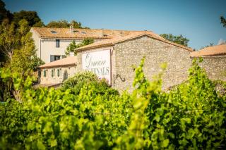 Les Fenals - Fitou - 3
