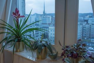 Apartament Widokówka - Gdynia - 6