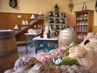 Le Relais de Ceilhes - Ceilhes-et-Rocozels - 7