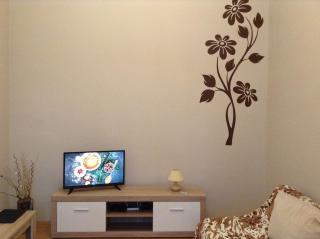 Family Stay in Lviv (2 Rooms + Kitchen) - Kulʼparkuv - 9