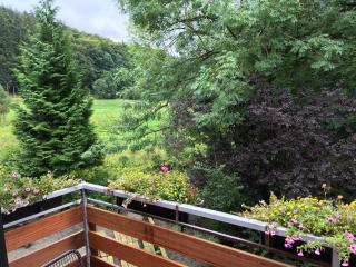 Hotel zum Forsthaus - 6