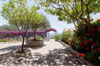 Sos Dorroles - Cala Gonone - 0