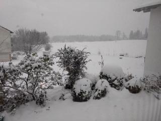 Eistobel und Felderhalde - Isny im Allgäu - 3