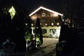 Forest Chalet, all famous ski areas around us, 15 min to city of salzburg, mountainview, panorama sauna, bath whirlpool, fire pit in garden up to 10 p - 9